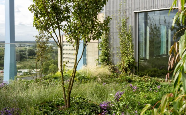 Universitair Ziekenhuis Gent 